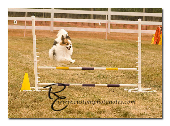_RMC1422 copy
