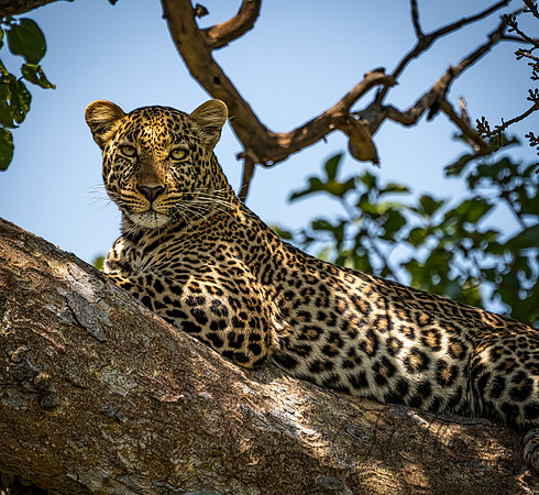Kenya_Jul272019_4911