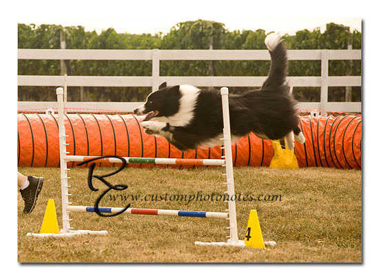 _RMC1478 copy