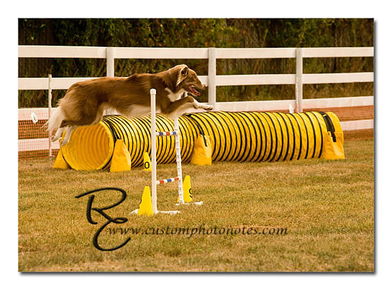 _RMC1482 copy