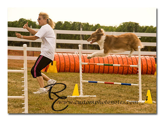 _RMC1484 copy