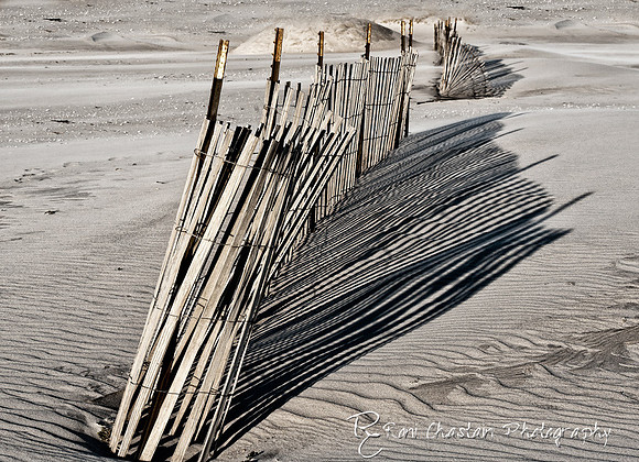 NickersonBeach_Jan292012_0035--a