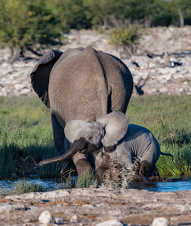 Namibia_061016_1421