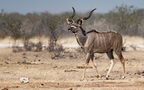 Namibia_060716_0280
