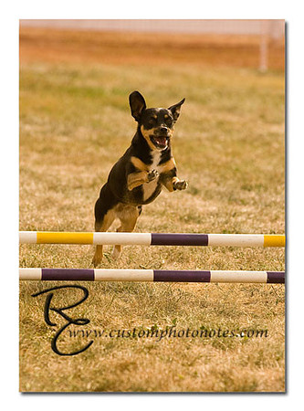 _RMC1535 copy
