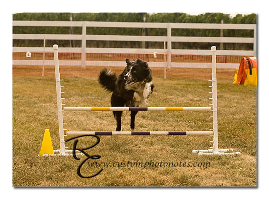 _RMC1433 copy