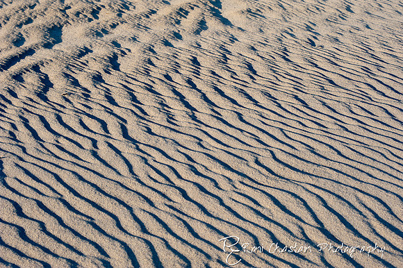 NickersonBeach_Jan292012_0040