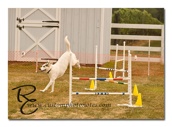 _RMC1612 copy