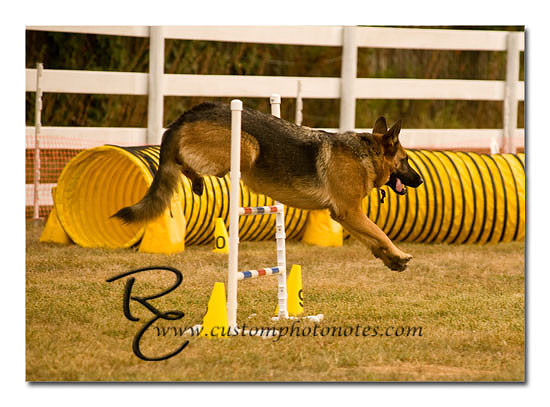 _RMC1587 copy