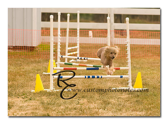 _RMC1508 copy