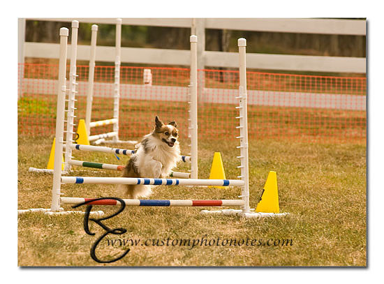 _RMC1532 copy