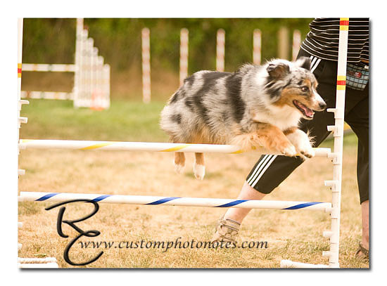 _RMC1752 copy