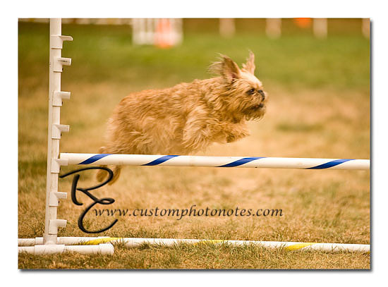 _RMC1704 copy