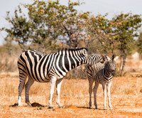 Namibia_060716_0324