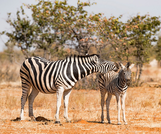 Namibia_060716_0324