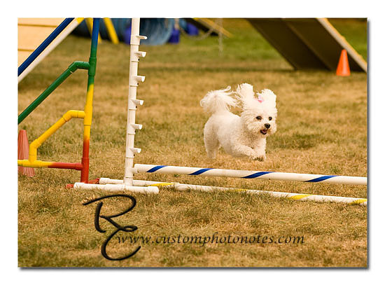 _RMC1617 copy