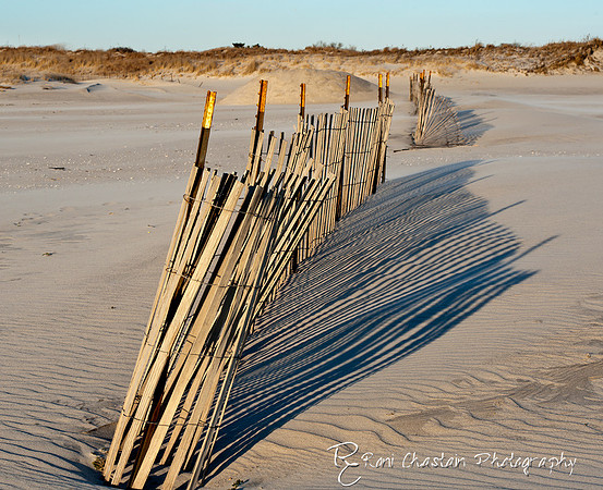 NickersonBeach_Jan292012_0035