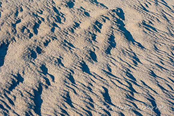 NickersonBeach_Jan292012_0041