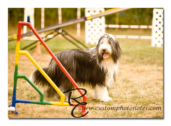 _RMC1774 copy