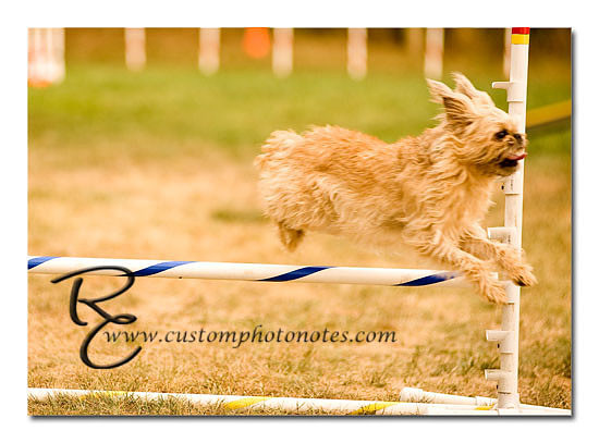 _RMC1664 copy