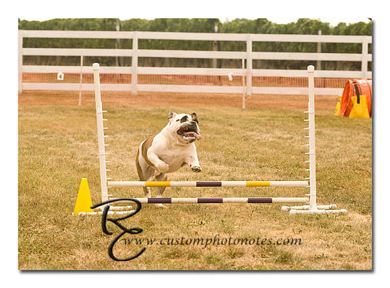 _RMC1402 copy