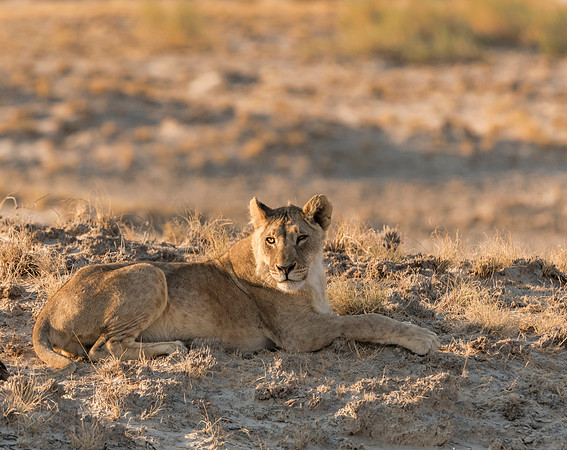 Namibia_060616_0767