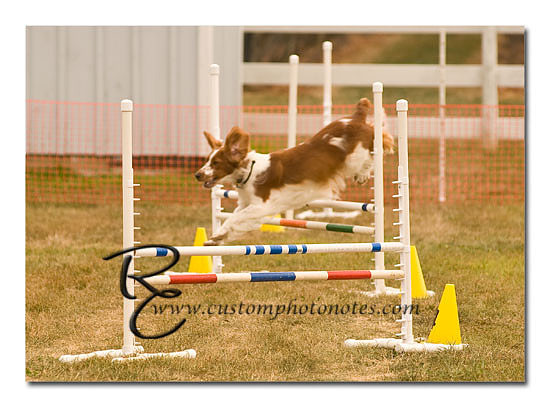 _RMC1600 copy