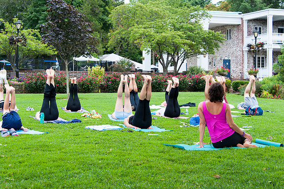 YogaSupporterize_Aug232014_0132