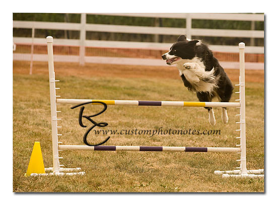 _RMC1473 copy