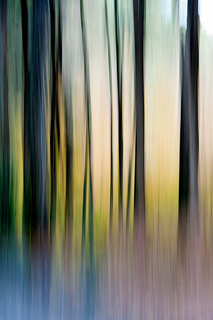 PEEC_Oct202013_0111